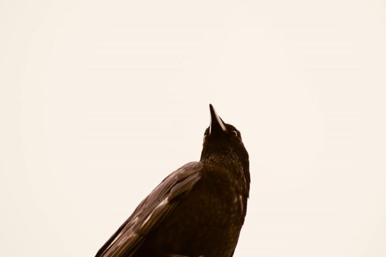 enterprise intelligence impact analysis